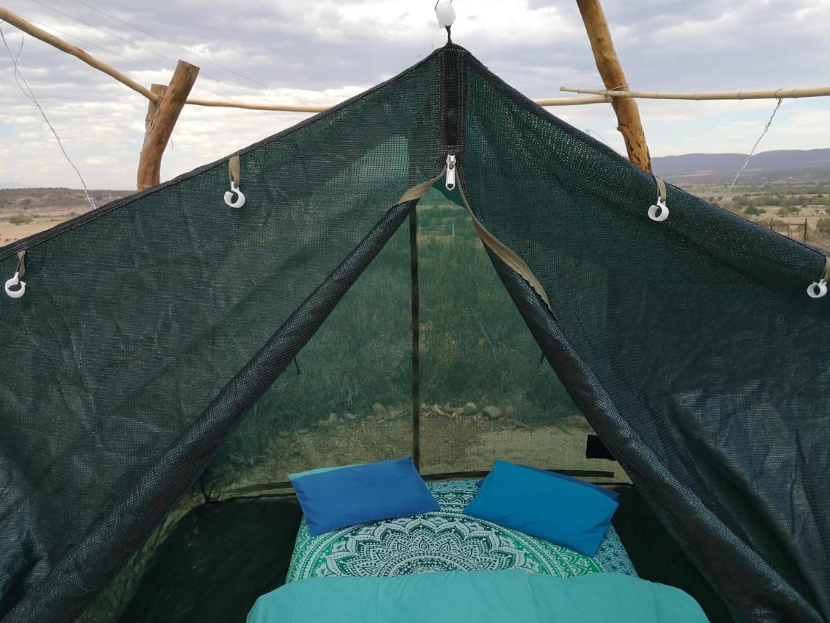 Amber Lagoon Backpackers Vleirivier